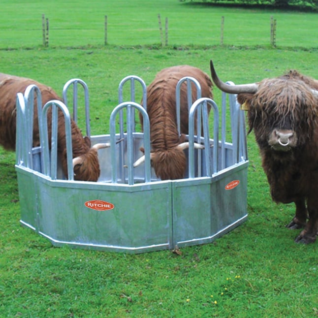 Heavy Duty Tombstone Feed Ring Heavy Duty Tombstone Feed Ring